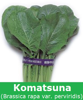 Komatsuna