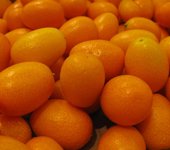 kumquats