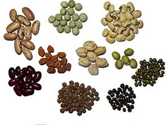 common legumes