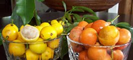 lemon-drop-and-African-mangosteens