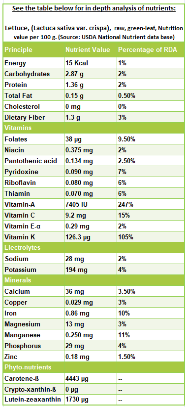8-wonderful-lettuce-nutrition-facts-and-health-benefits