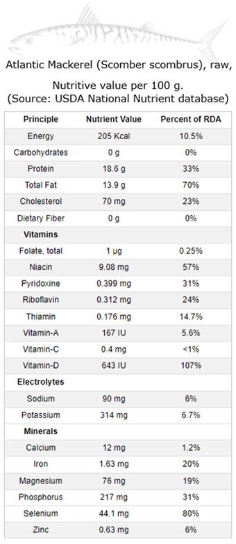 mackerel nutrition