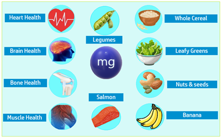 Magnesium food-sources-and-health-functions