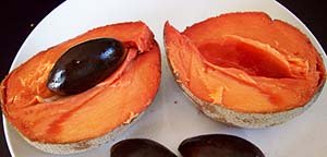 Mamey sapote