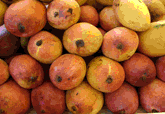 mangoes