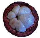 mangosteen arils