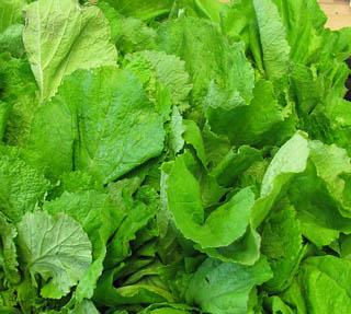 Mustard greens