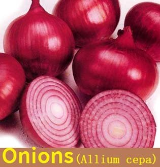 Onions