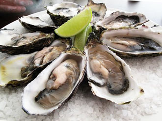 Pacific oysters