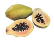 papaya fruit (pawpaw)