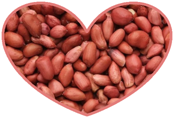 Peanuts Heart Health