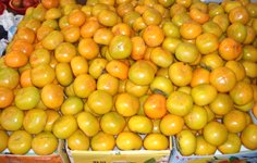 fresh persimmons in a seol market