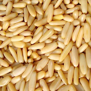 Pine nuts