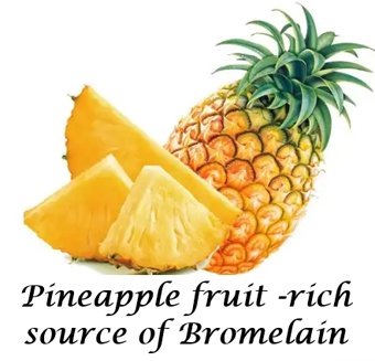 Pineapple rich source of bromelain