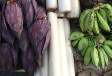 plantain, Inflorescence and tender plantain stem