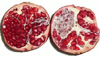 pomegranate fruit inside view