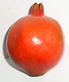 pomegranate fruit