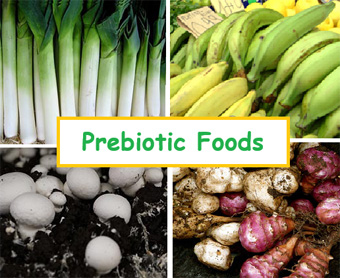 Prebiotic foods
