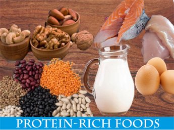 Protein rich foods