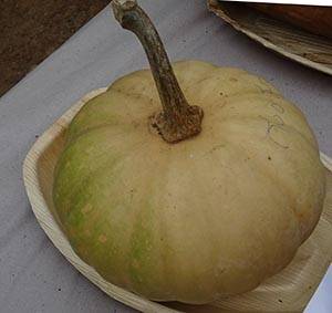 8 Amazing Pumpkin Nutrition Facts And Health Benefits