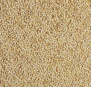 Peruvia quinoa