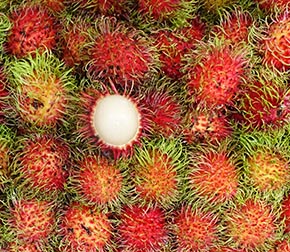 Rambutan fruit