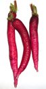 elongated red skin radishes