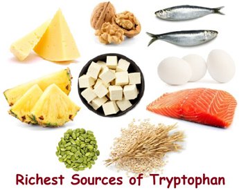 Sources of foods rich in tryptophan