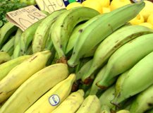 raw green and ripe plantains