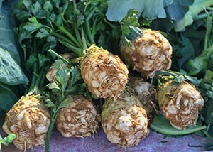 celery root benefits