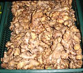 Fresh ginger roots in a market