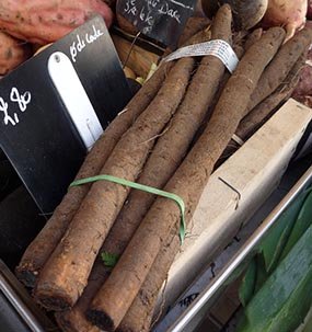 Scorzonera or black oyster root