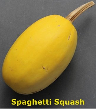 spaghetti squash