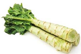 celtuce stems with top greens