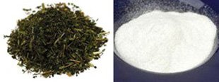 stevia-sugar-and-dried-stevia-leaves