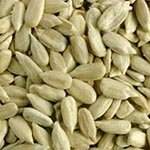 sunflower kernels