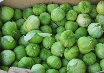 fresh tomatillos