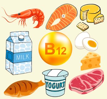 Vitamin B12 rich foods