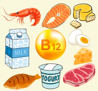 Vitamin B12 rich foods