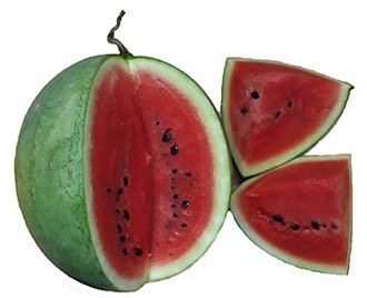 Watermelon fruit nutrition