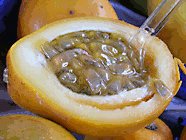 golden yellow passion fruit1