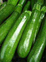 Fresh zucchini